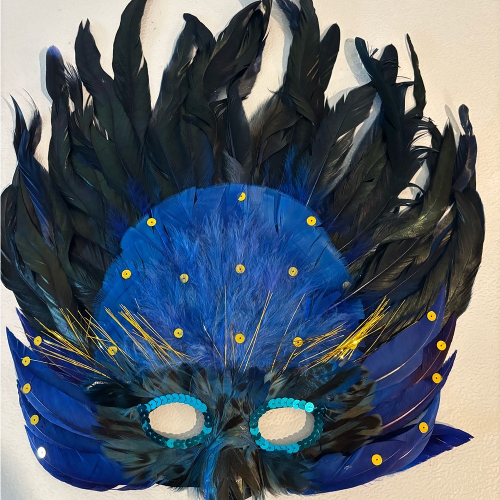 Blue and Black Feathered Mask